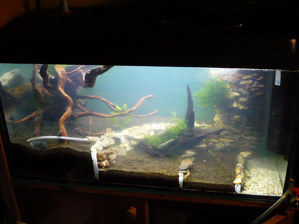 Aqua 019.jpg